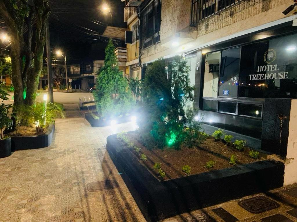 Hotel Tree House Medellín Buitenkant foto